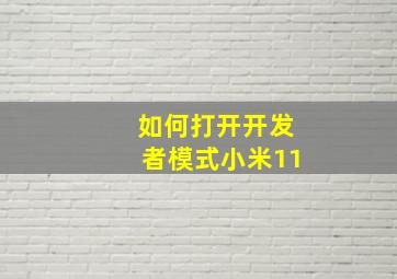 如何打开开发者模式小米11