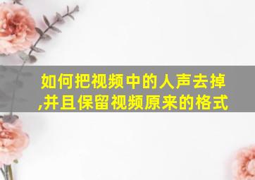 如何把视频中的人声去掉,并且保留视频原来的格式