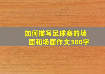 如何描写足球赛的场面和场面作文300字