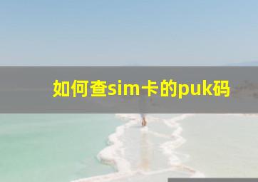 如何查sim卡的puk码