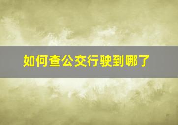 如何查公交行驶到哪了