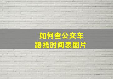 如何查公交车路线时间表图片