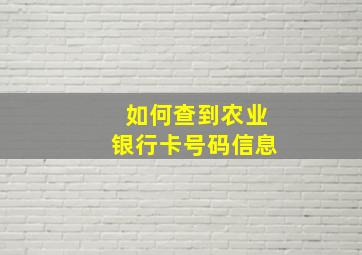 如何查到农业银行卡号码信息