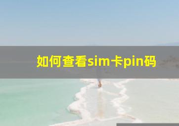 如何查看sim卡pin码