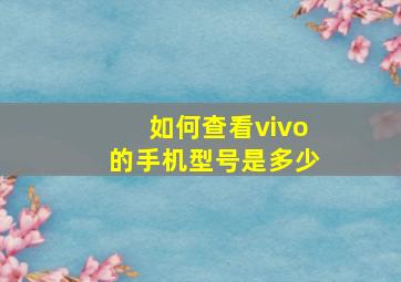 如何查看vivo的手机型号是多少