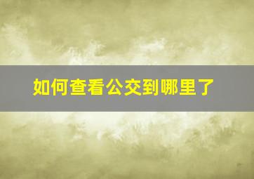 如何查看公交到哪里了