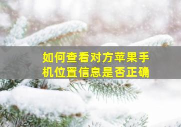 如何查看对方苹果手机位置信息是否正确