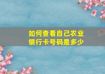 如何查看自己农业银行卡号码是多少