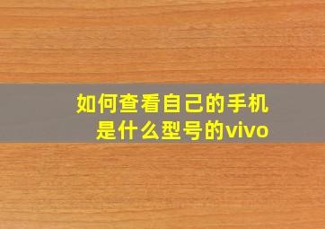 如何查看自己的手机是什么型号的vivo