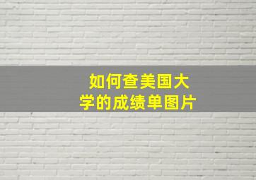 如何查美国大学的成绩单图片