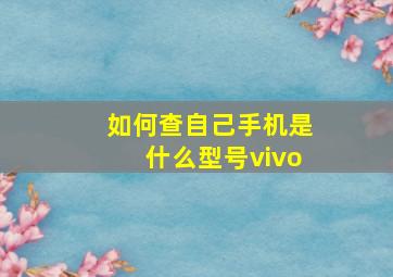 如何查自己手机是什么型号vivo