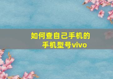 如何查自己手机的手机型号vivo