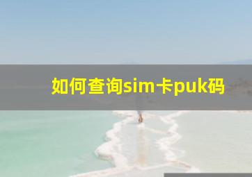 如何查询sim卡puk码