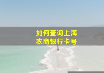 如何查询上海农商银行卡号