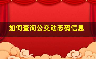 如何查询公交动态码信息