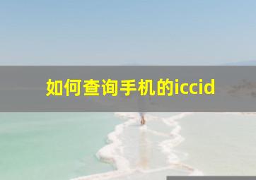 如何查询手机的iccid