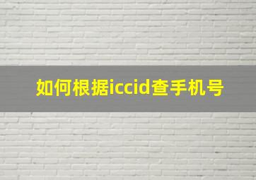 如何根据iccid查手机号