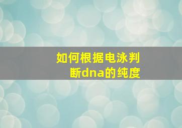 如何根据电泳判断dna的纯度