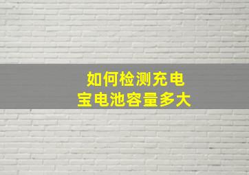 如何检测充电宝电池容量多大