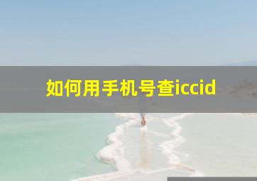 如何用手机号查iccid