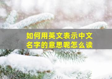 如何用英文表示中文名字的意思呢怎么读