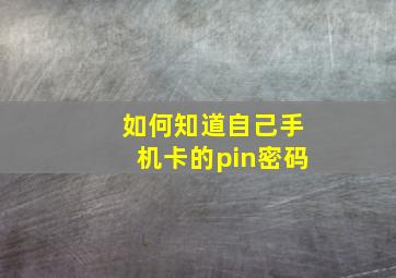 如何知道自己手机卡的pin密码