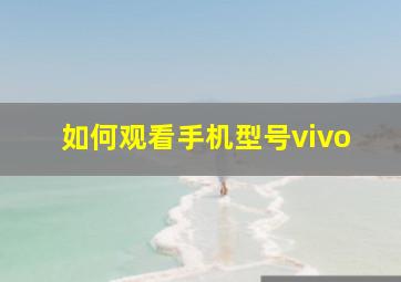 如何观看手机型号vivo