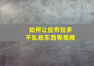 如何让拉布拉多不乱咬东西呢视频