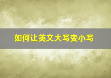 如何让英文大写变小写