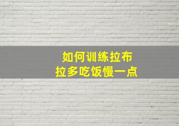 如何训练拉布拉多吃饭慢一点