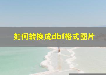 如何转换成dbf格式图片