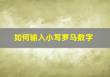 如何输入小写罗马数字