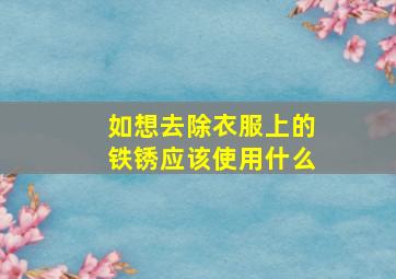 如想去除衣服上的铁锈应该使用什么