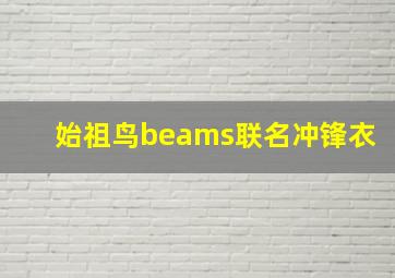 始祖鸟beams联名冲锋衣