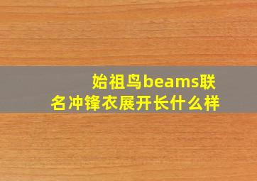 始祖鸟beams联名冲锋衣展开长什么样