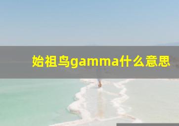 始祖鸟gamma什么意思