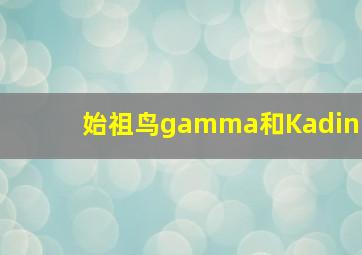 始祖鸟gamma和Kadin