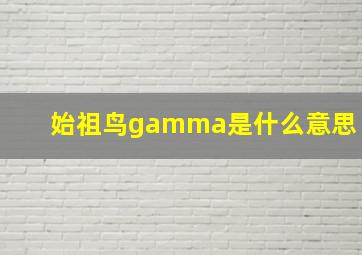 始祖鸟gamma是什么意思