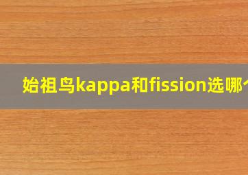 始祖鸟kappa和fission选哪个