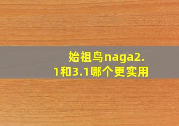 始祖鸟naga2.1和3.1哪个更实用