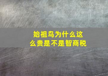 始祖鸟为什么这么贵是不是智商税