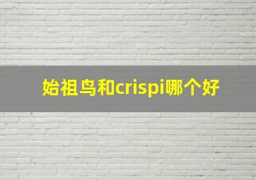 始祖鸟和crispi哪个好