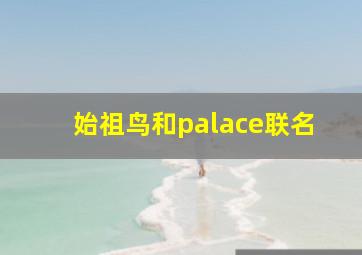 始祖鸟和palace联名