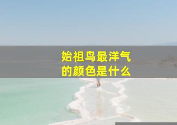 始祖鸟最洋气的颜色是什么