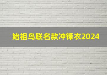 始祖鸟联名款冲锋衣2024