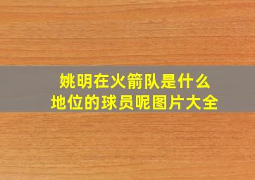 姚明在火箭队是什么地位的球员呢图片大全