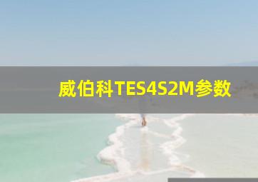 威伯科TES4S2M参数