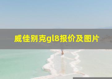 威佳别克gl8报价及图片