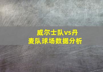 威尔士队vs丹麦队球场数据分析