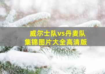 威尔士队vs丹麦队集锦图片大全高清版